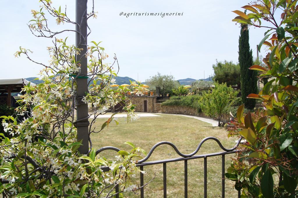 Agriturismo Signorini Orciatico Экстерьер фото