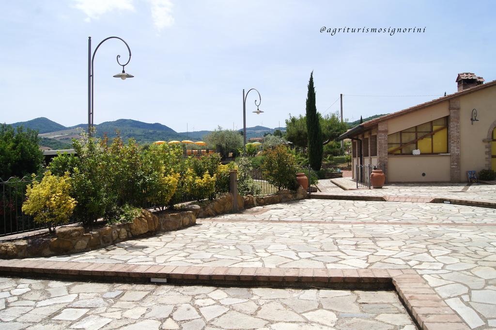 Agriturismo Signorini Orciatico Экстерьер фото