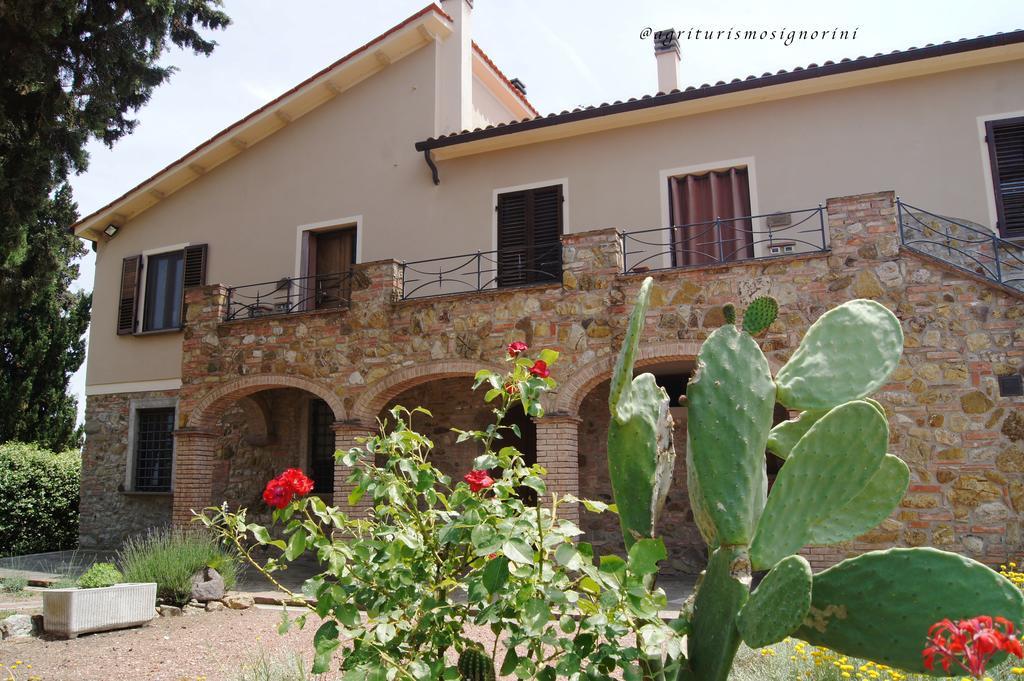 Agriturismo Signorini Orciatico Экстерьер фото