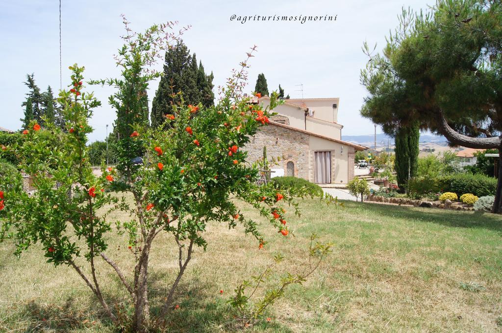 Agriturismo Signorini Orciatico Экстерьер фото
